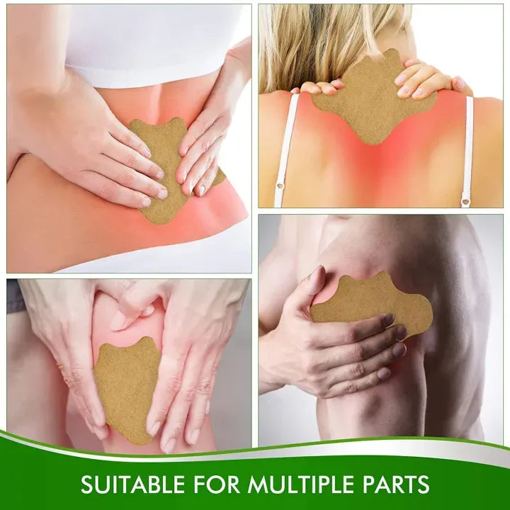 SaluVera™ Pain Relief Lumbar Patch (10-Piece Box) – Back & Muscle Support